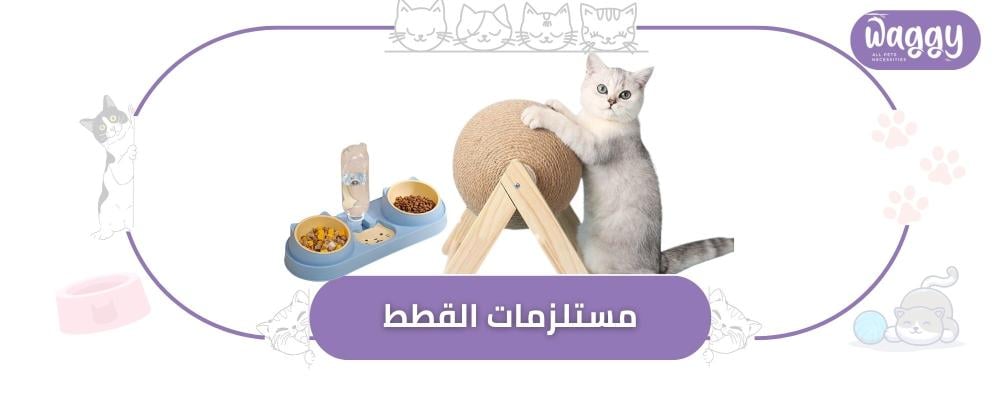 دليل مستلزمات القطط من الطعام إلى الرفاهية