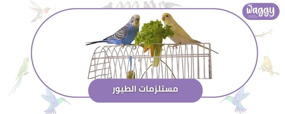 دليل مستلزمات الطيور