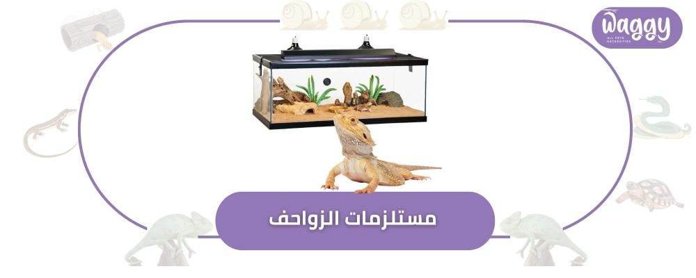 مستلزمات الزواحف