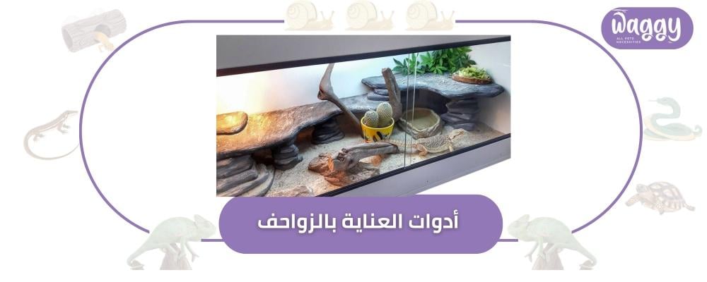 أدوات العناية بالزواحف