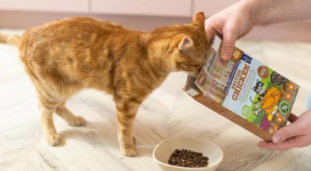 الأكل الممنوع للقطط