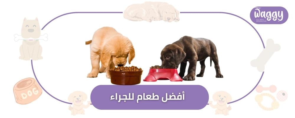 أفضل طعام للجراء