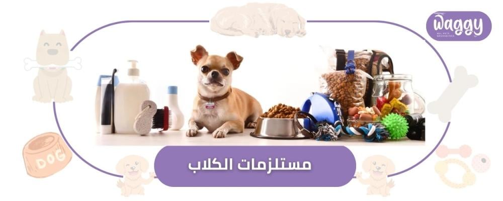 دليل مستلزمات الكلاب لكل ما يحتاجه أليفك الوفي