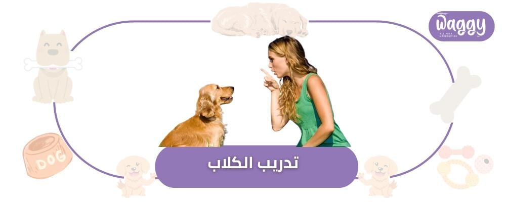 تدريب الكلاب