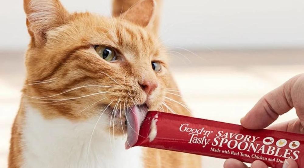 المكافآت الكريمية للقطط