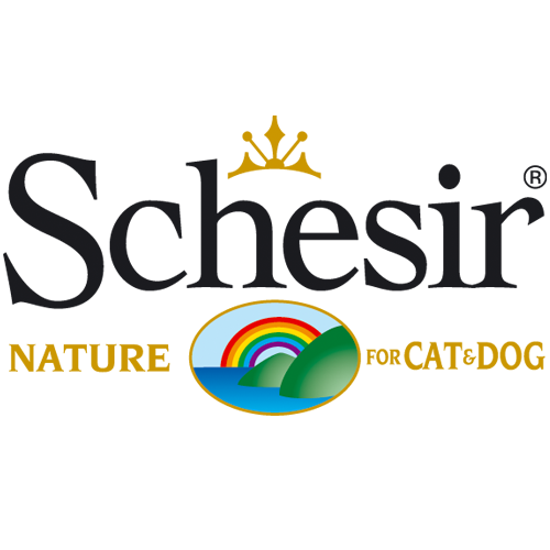 Schesir