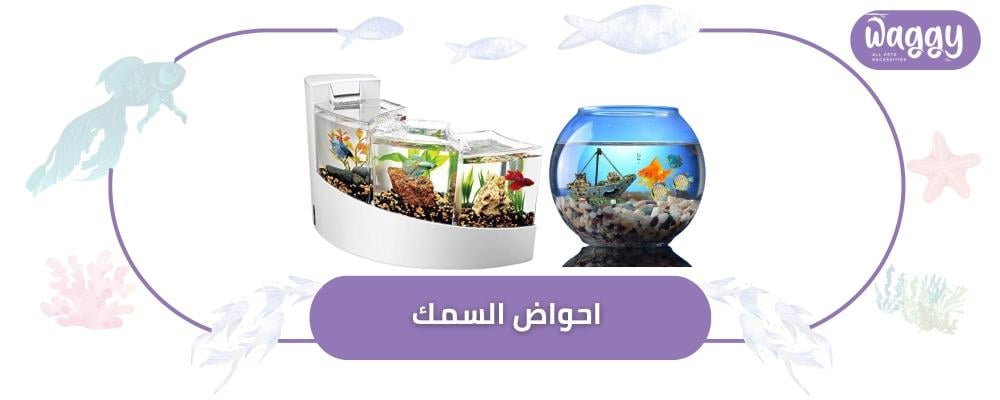 كيف تختار حجم احواض السمك