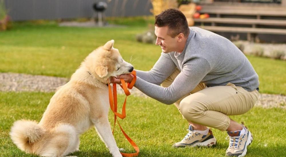 تدريب كلاب: الدليل الشامل للطاعة والحمام والحراسة