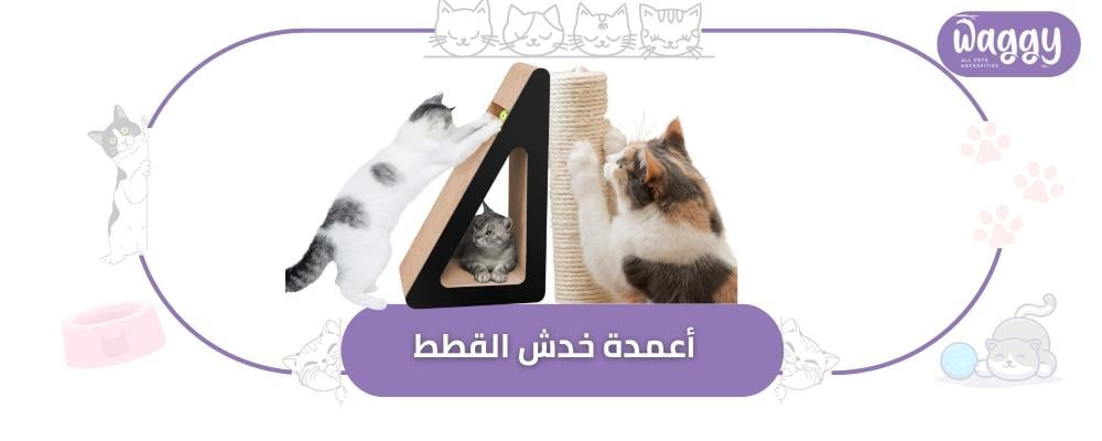 فوائد أعمدة خدش القطط