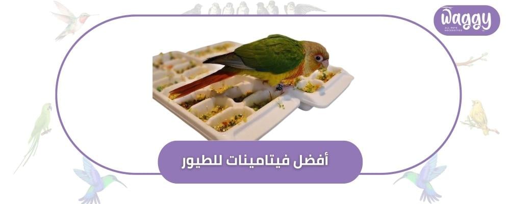 كيف تختار أفضل فيتامينات للطيور