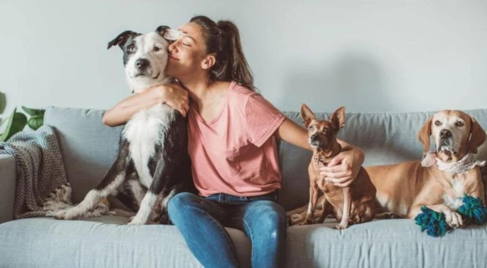 أخطاء شائعة في تربية الحيوانات الأليفة