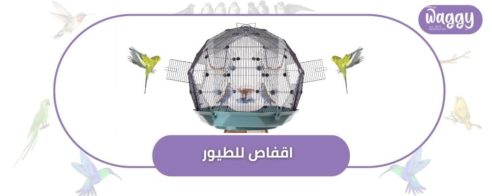 اختيار اقفاص للطيور