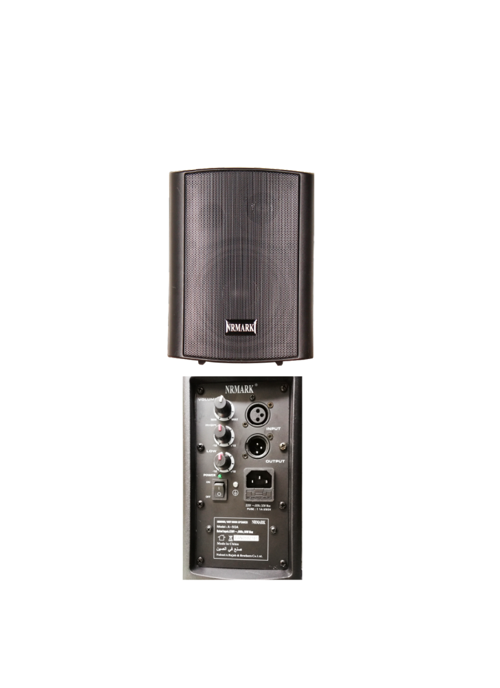 Speaker (active speaker)