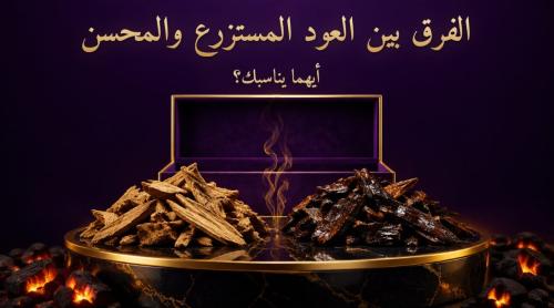 الفرق بين العود المستزرع والمحسن وكيف تختار الأنسب من خزام العود