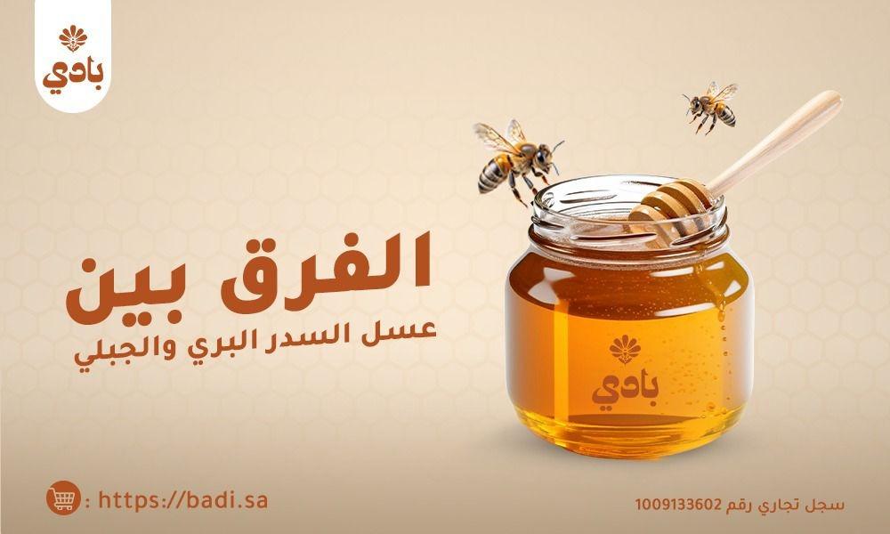 الفرق بين عسل السدر البري والجبلي