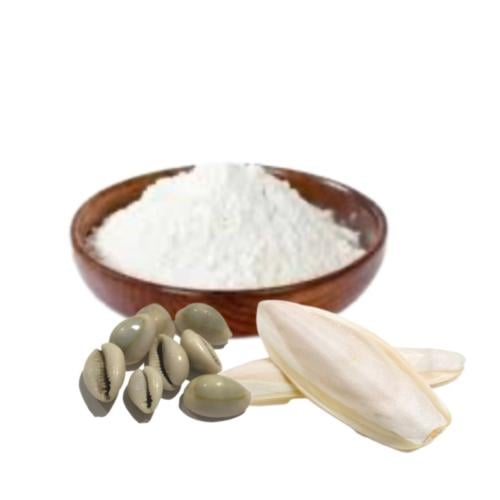 بودرة الودع ولسان البحر
