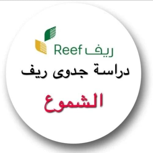 دراسة جدوى ريف للشموع