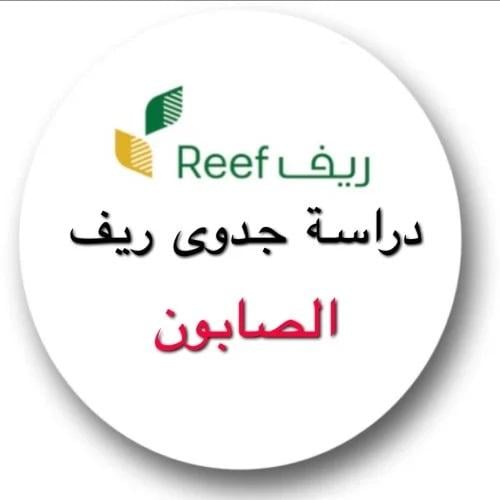 دراسة جدوى ريف - الصابون