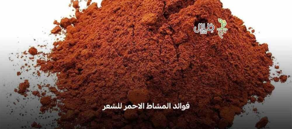 ما هي فوائد المشاط الاحمر للشعر​؟