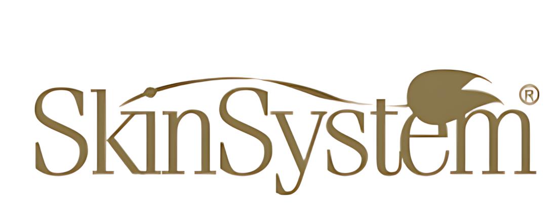 سكين سيستم - Skin system