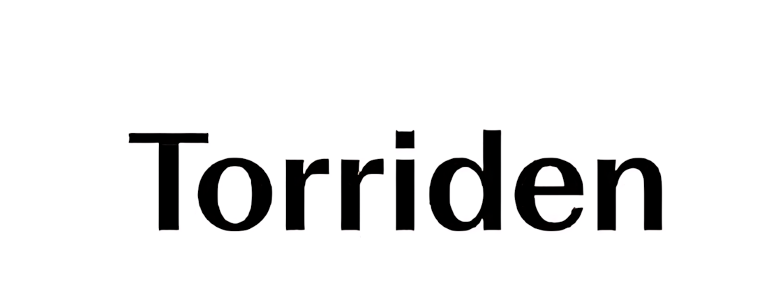 توريدين - Torriden