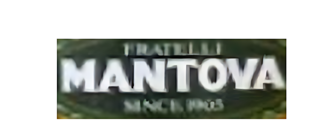مانتوفا MANTOVA