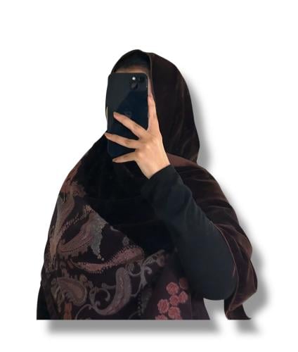 شال كشميري مخمل بني