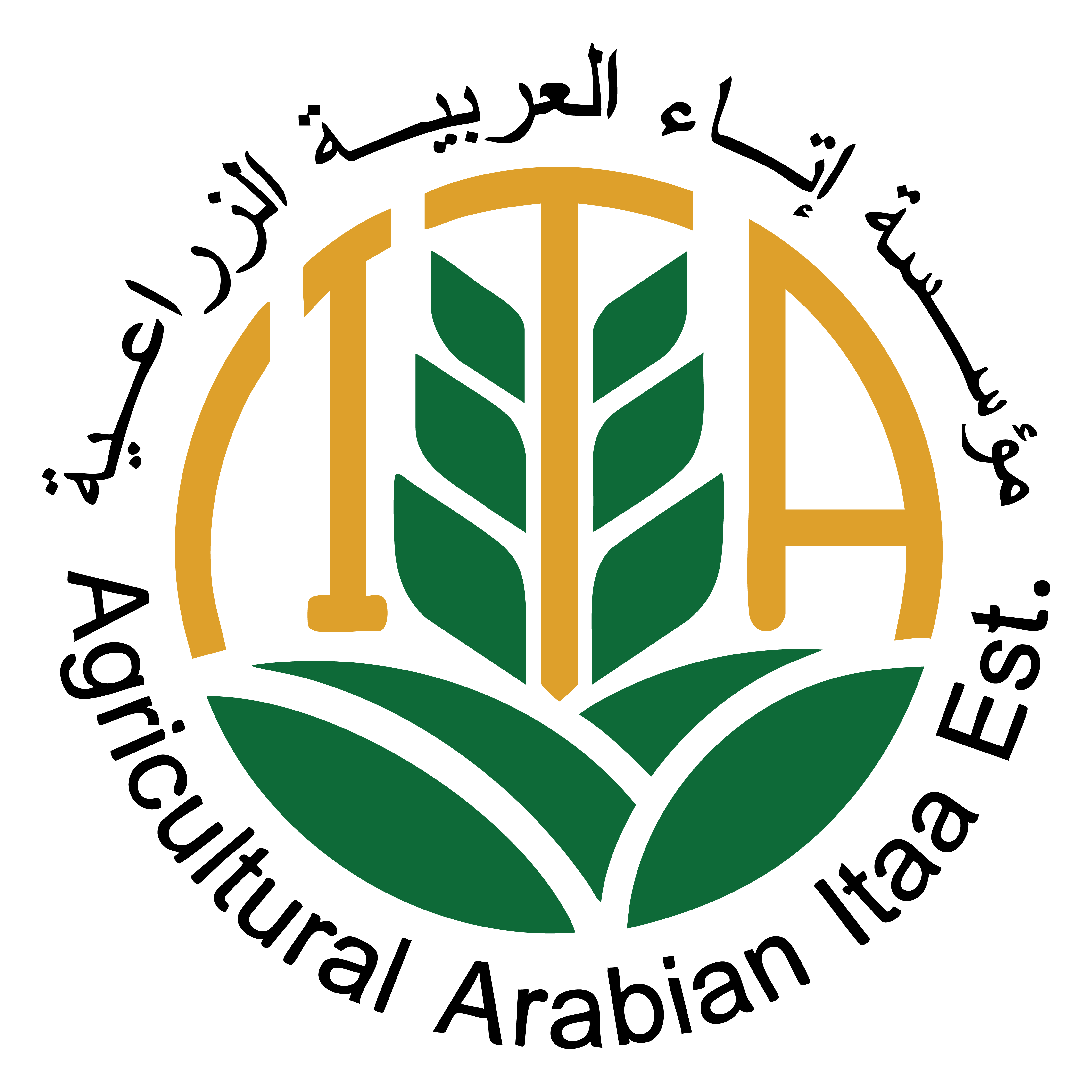 store avatar
