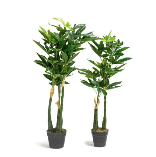 شجرة المال (Pachira aquatica) صناعية – ارتفاع 80 سم و 90 سم – ديكور داخلي من حديقة السوسن