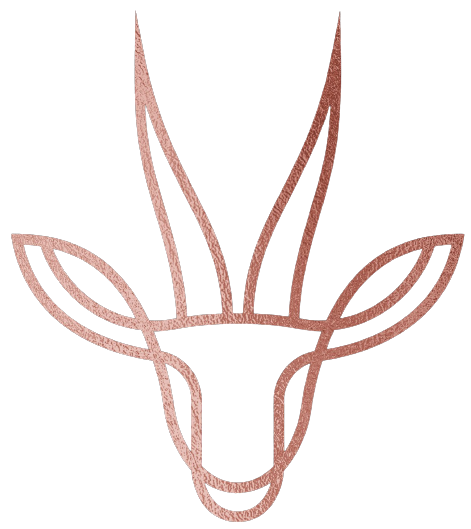 محمصة ادمي | IDMI COFFEE