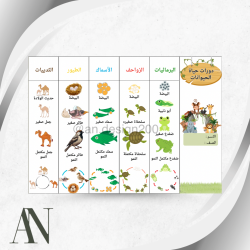 مطوية علوم ثالث دورة حياة الحيوانات