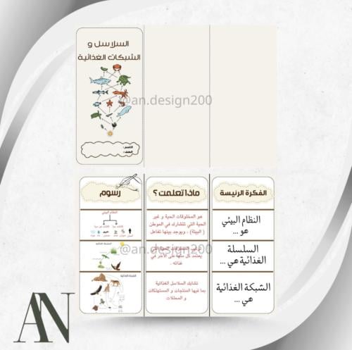 مطوية علوم ثالث السلاسل والشبكات الغذائية