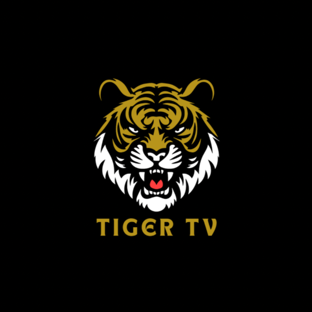 اشتراك تايقر IPTV — كل ما تحتاج تعرفه قبل الاشتراك 2026