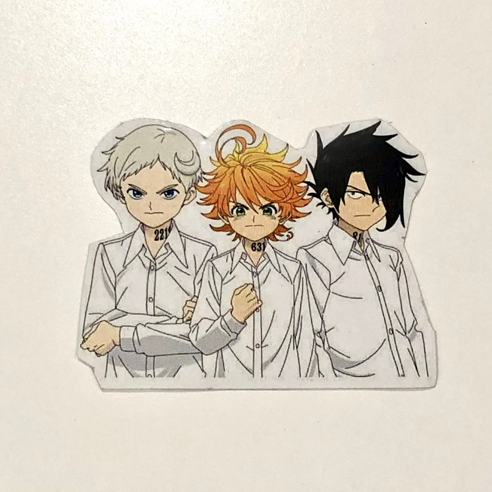 ✓ The Promised Neverland