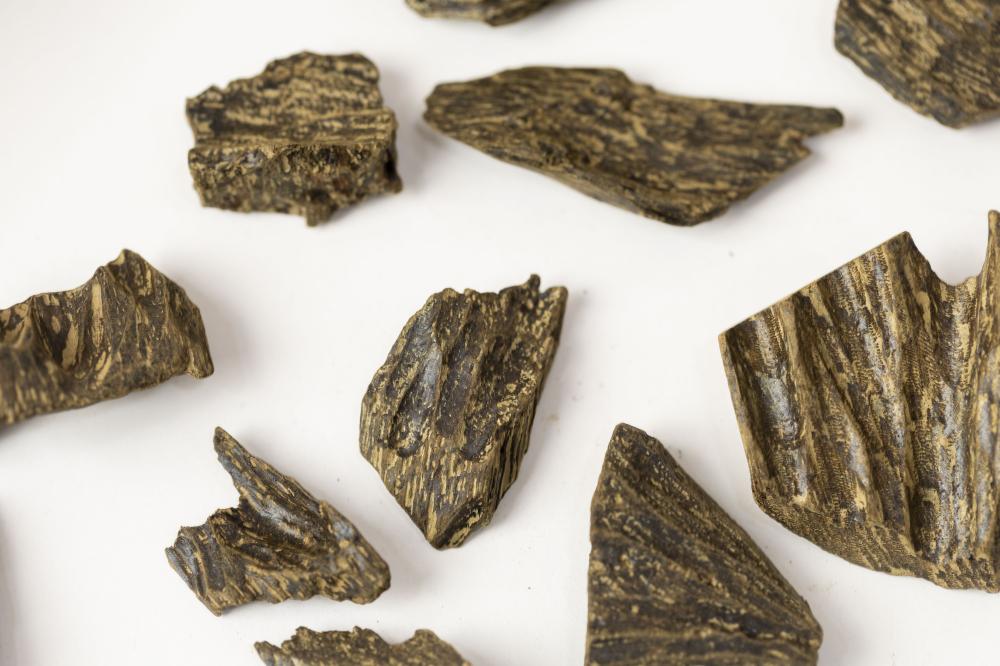 كلمنتان محسن