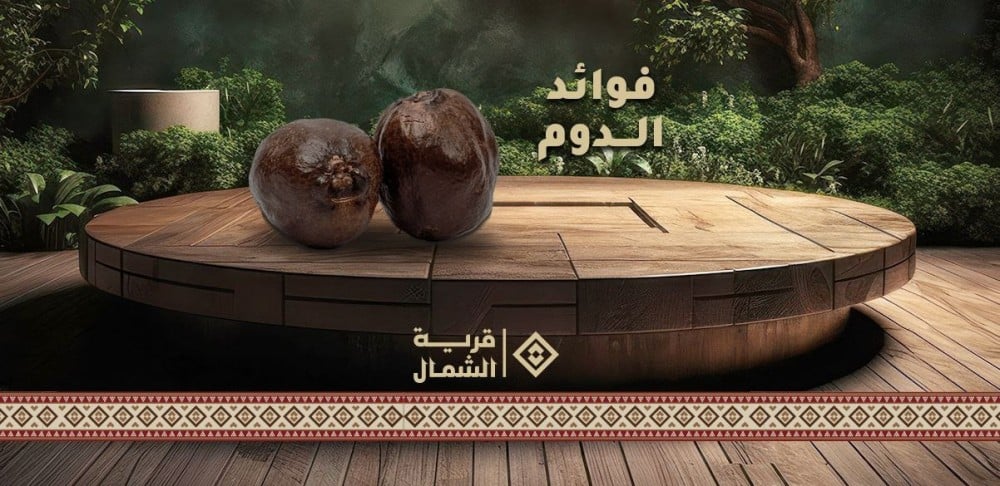 تعرف علي اهم فوائد واستخدامات الدوم الطبيعي