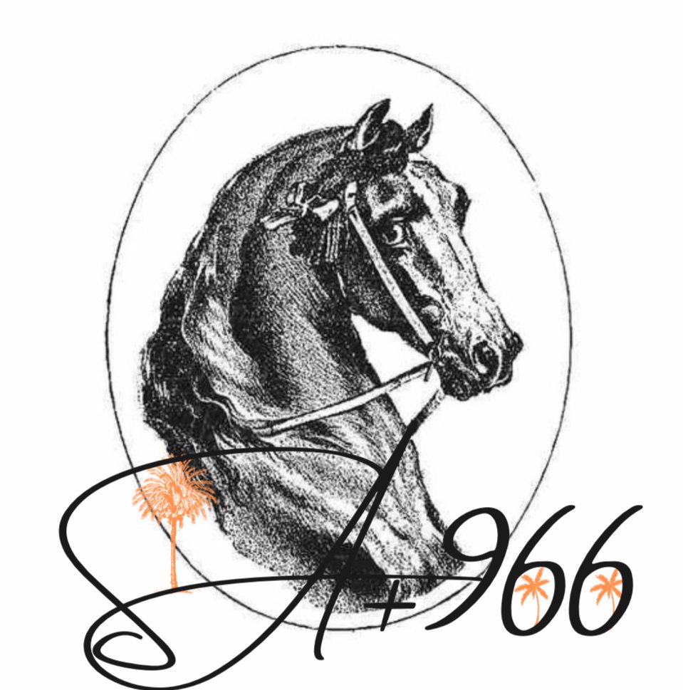 store avatar