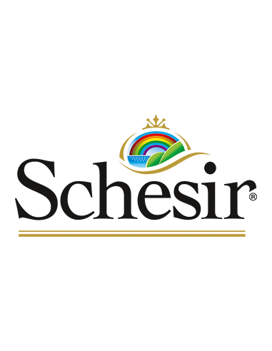 schesir
