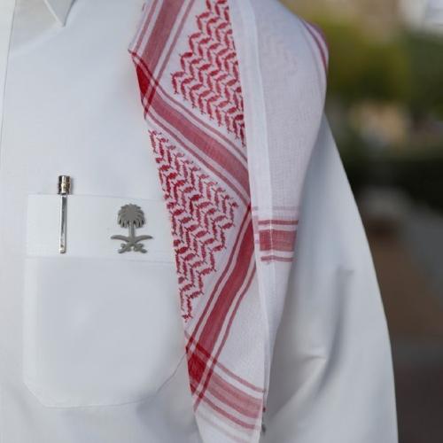 بروش سيفين ونخلة اليوم الوطني