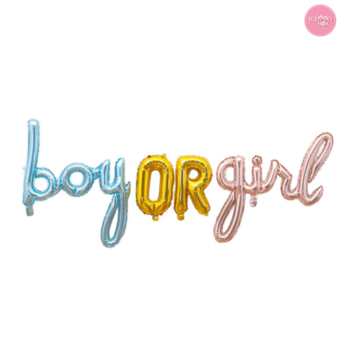 Gender Reveal Balloon Banner | بانر بالون كشف الجن...
