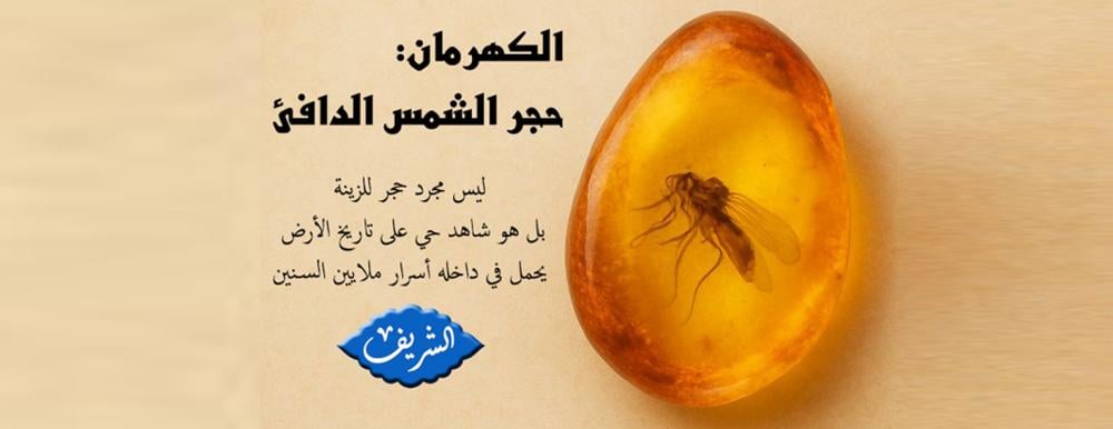 الكهرمان: حجر الشمس الدافئ