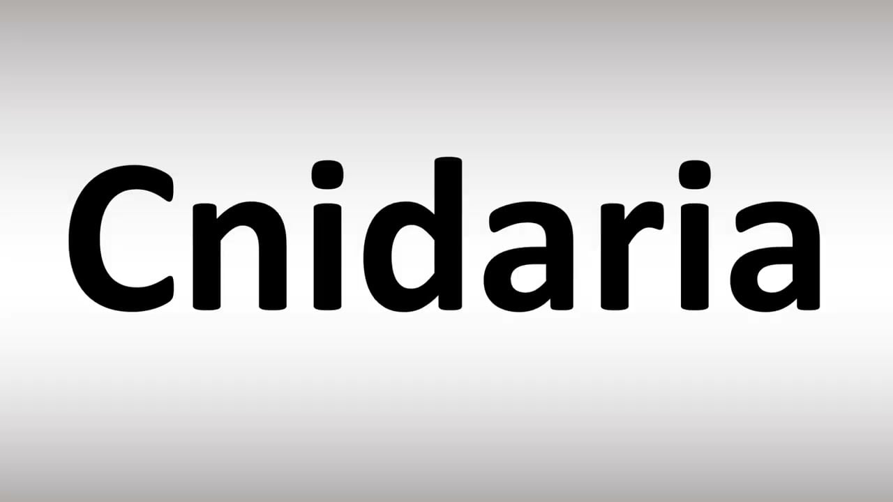 سينداريا Cnidaria