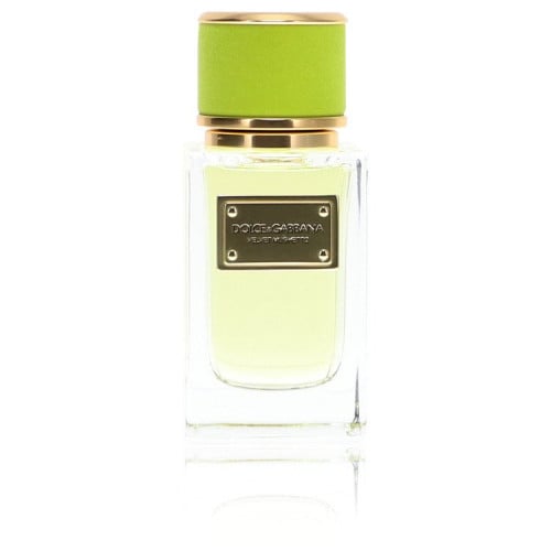 عطر دولتشي & غابانا فيلفت موغيتو Dolce & Gabbana V...
