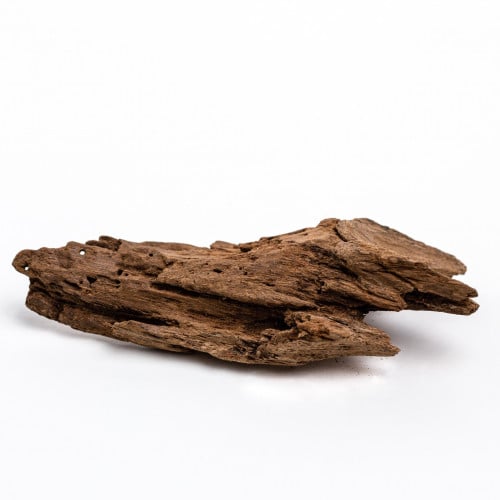 عود مروكي كينامي نوادر