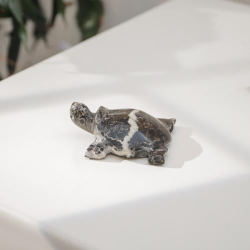 سلحفاه رخاميه تحفه للمكان