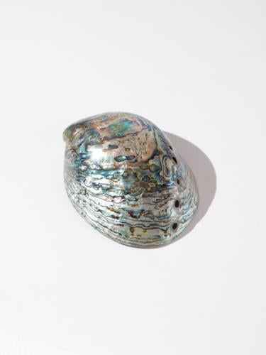 صحن تقديم  وعرض صدفي فاخر