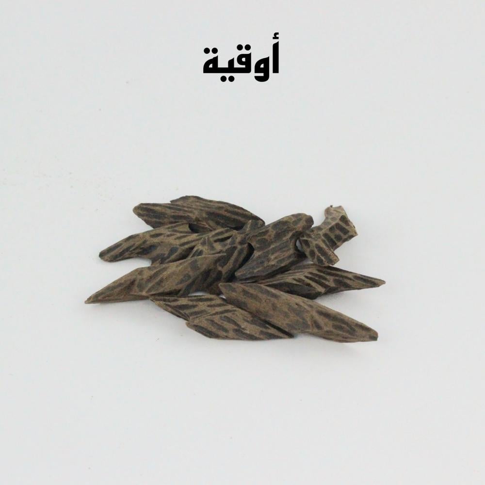 كم يبلغ سعر تايقر كمبودي الأصلي في الأسواق؟ - تحليل سعر تايقر كمبودي الأصلي