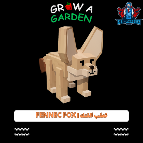ثعلب الفنك | Fennec Fox