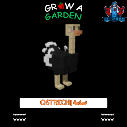 نعامة | Ostrich