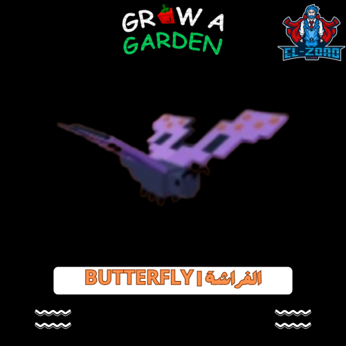 الفراشة | Butterfly